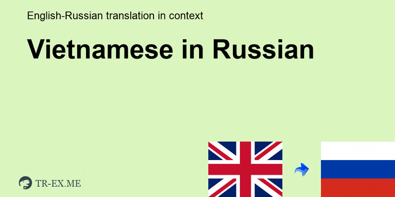Nhu cầu dịch tiếng Việt ra tiếng Nga đang tăng trưởng nhanh trên thị trường