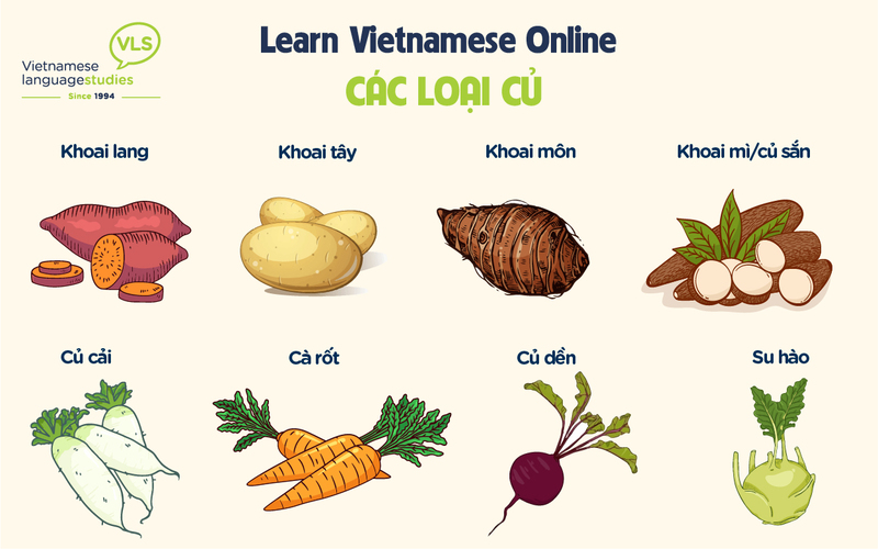 Học tiếng Anh sang tiếng Việt có khó không?