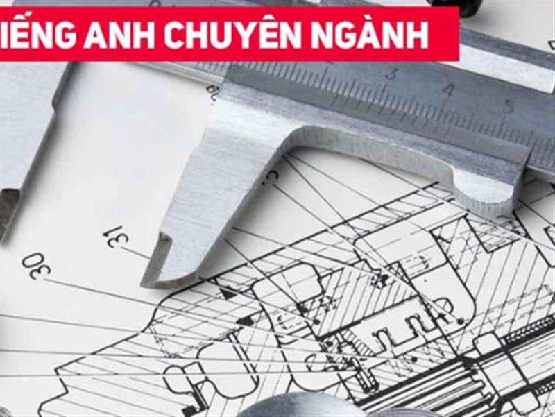 Những kỹ năng cần có của người dich chuyen nganh giỏi