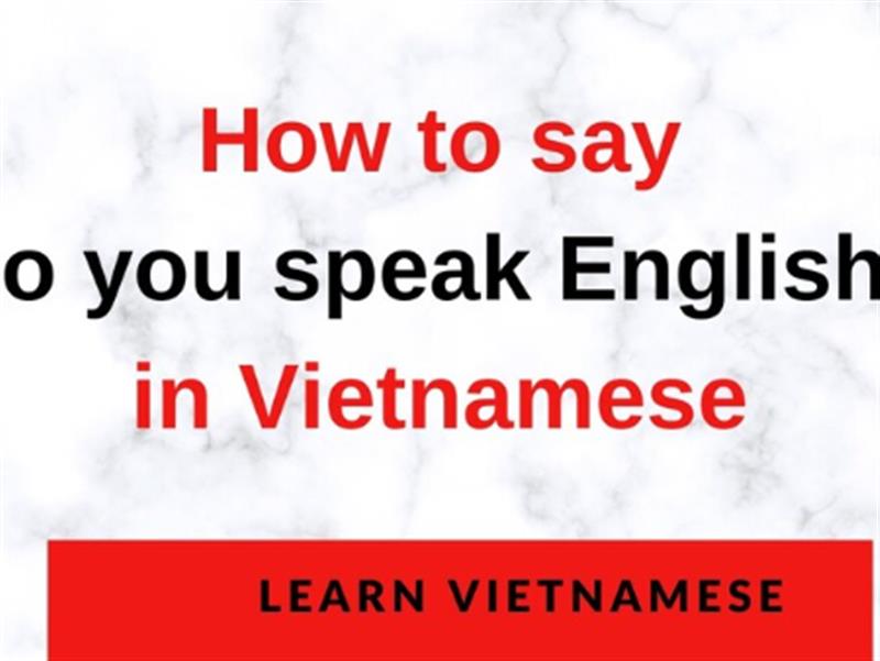 Học tiếng Anh sang tiếng Việt làm sao để hiệu quả?