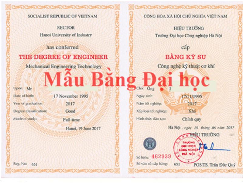 DỊCH THUẬT BẰNG ĐẠI HỌC SANG TIẾNG NHẬT (MẪU DỊCH THUẬT)