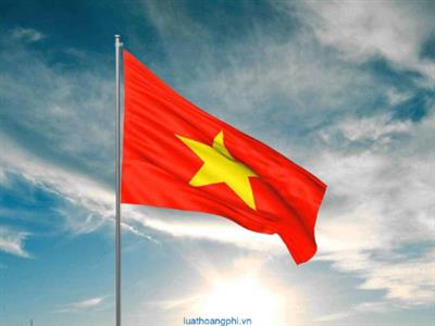 Thế Nào Là Bản Dịch Tiếng Việt Đạt Chuẩn Chất Lượng Nhất?