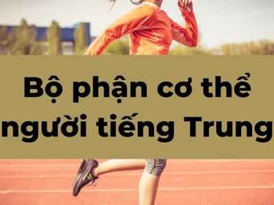 Dịch các bộ phận cơ thể người tiếng Trung sang tiếng Việt